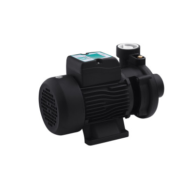 Насос поверхностный поливочный Pumpman 2DK20 Нmax 17 м Qmax 27 куб.м 750 Вт