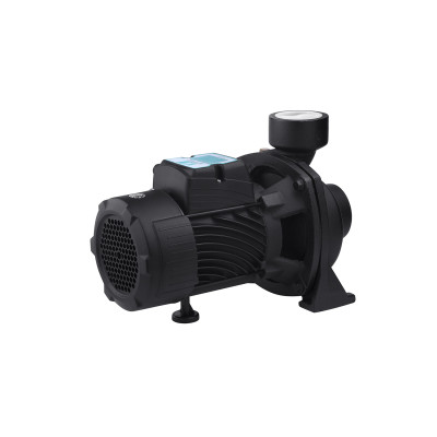Насос поверхностный поливочный Pumpman TGA1C Нmax 15 м Qmax 30 куб.м 750 Вт